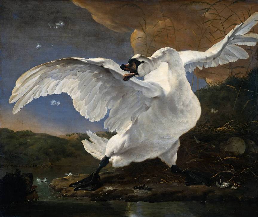 Jan Asselijn The Threatened Swan painting - Unknown Artist Jan Asselijn The Threatened Swan art painting